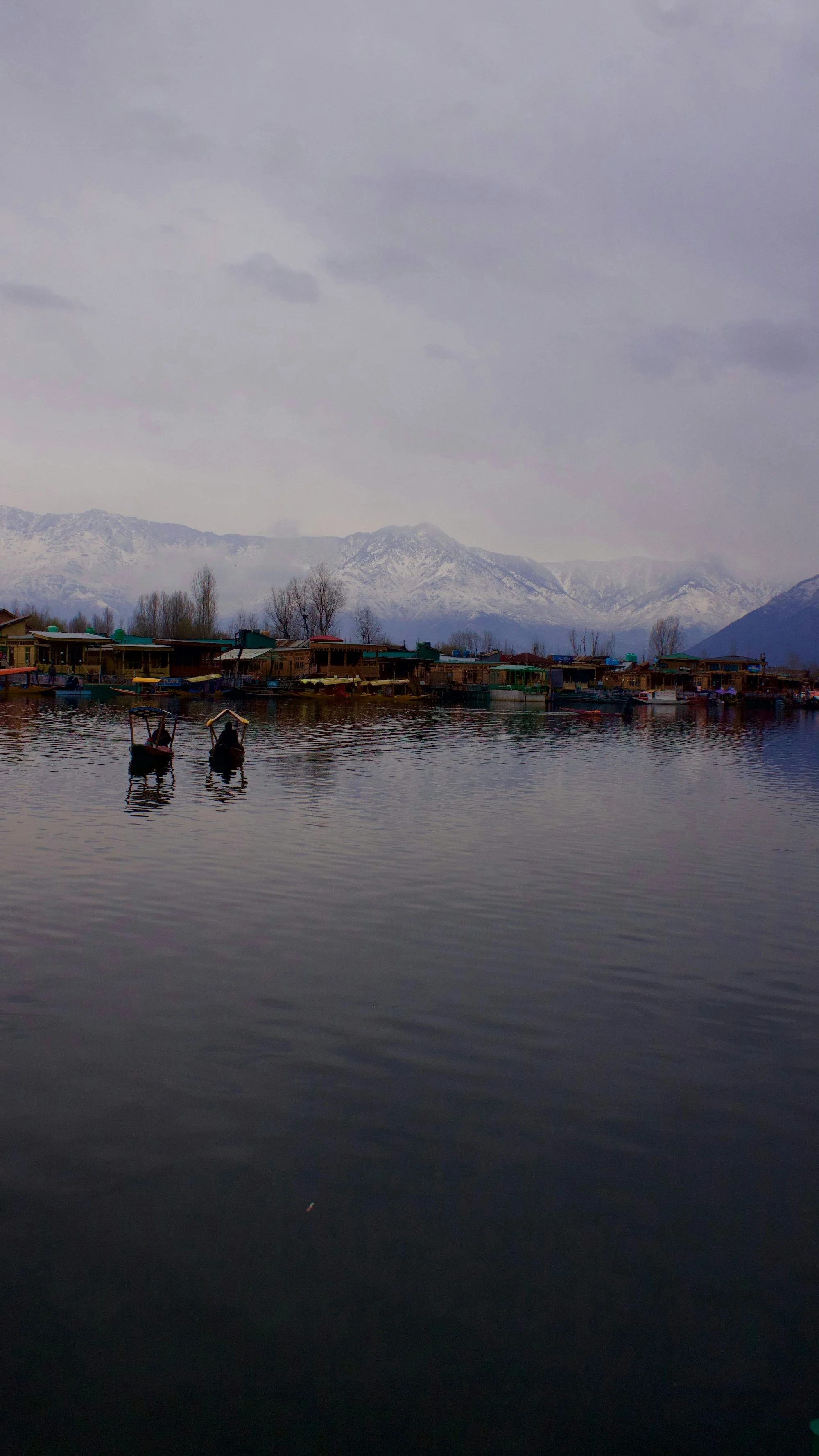 Traditional shikaras on Dal Lake with mountains beyond Srinagar