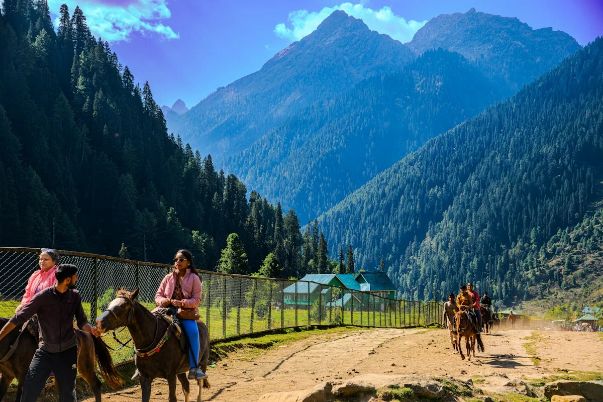 Green mountain scenery and pine forests in Betaab Valley, Pahalgam